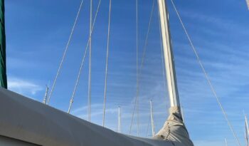 Hunter legend 40.5 ocasión – 17