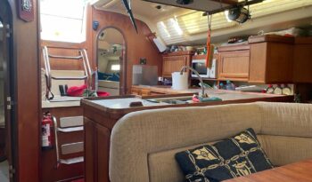 Hunter legend 40.5 ocasión – 29