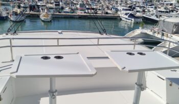 BALI 5.4 Only One Life – 12