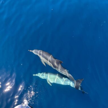 Sun Sails Yachts Entrega BALI CATSMART - Miracle II - Puerto Sherry - Mayo 2025 - 10 Sun Sails Yachts Entrega BALI CATSMART - Miracle II - Puerto Sherry - Mayo 2025 - 10